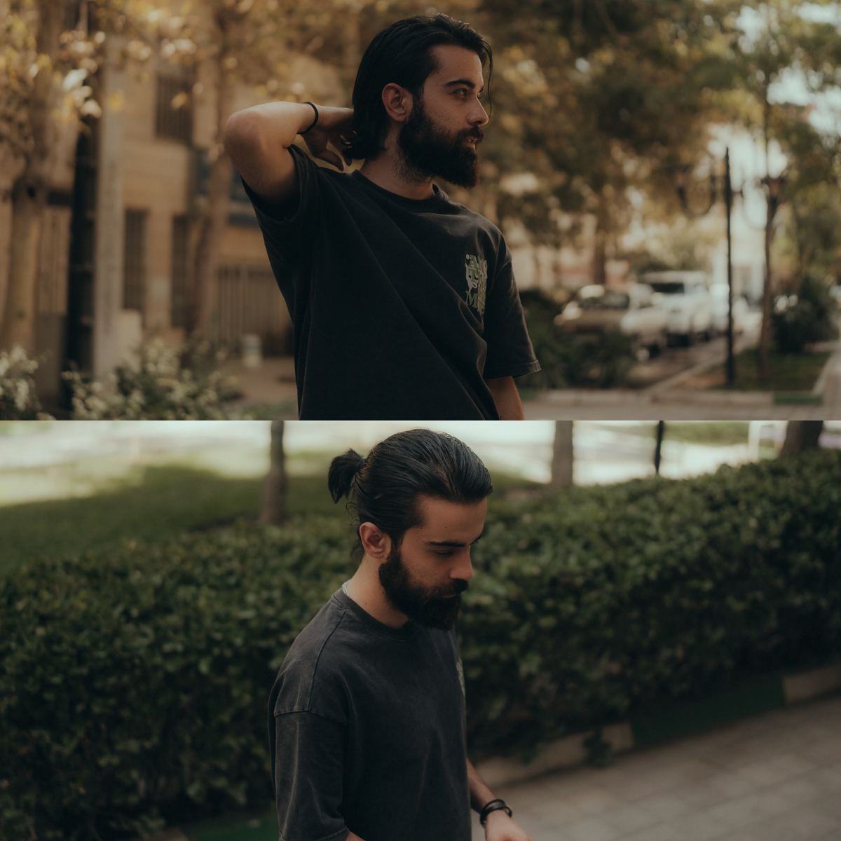 مرتضی هاشمی